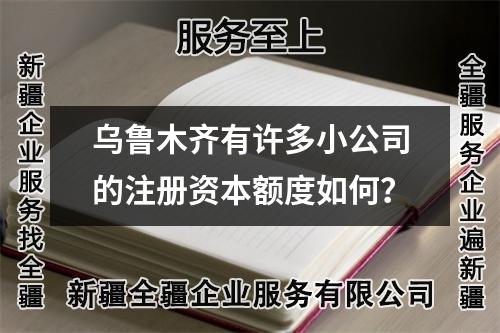 烏魯木齊有許多小公司的注冊資本額度如何？
