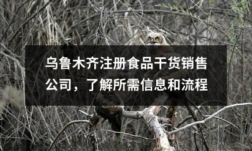 烏魯木齊注冊食品干貨銷售公司，了解所需信息和流程