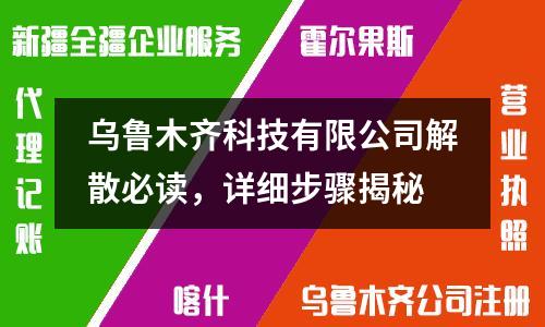 烏魯木齊科技有限公司解散必讀，詳細步驟揭秘