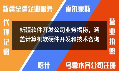 新疆軟件開發(fā)公司業(yè)務揭秘，涵蓋計算機軟硬件開發(fā)和技術咨詢