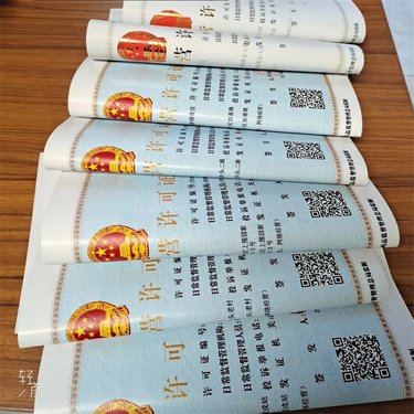 烏魯木齊注冊(cè)營(yíng)業(yè)執(zhí)照流程詳解，創(chuàng)業(yè)無(wú)憂無(wú)慮