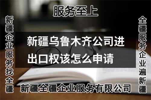新疆烏魯木齊公司進(jìn)出口權(quán)該怎么申請(qǐng)